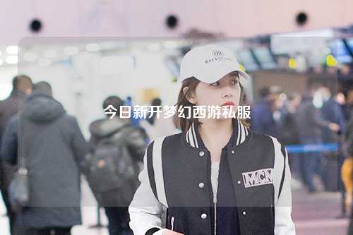 今日新开梦幻西游私服